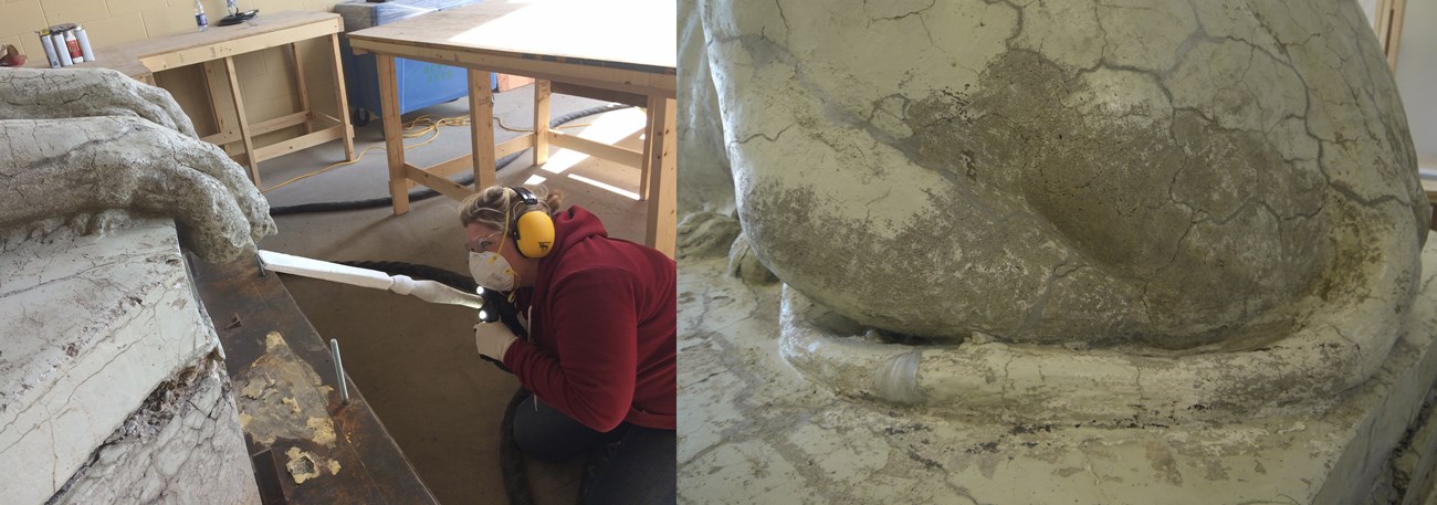 Two images left female holding white tube aimed at cement lion paw. Right closeup cracked cement paw.