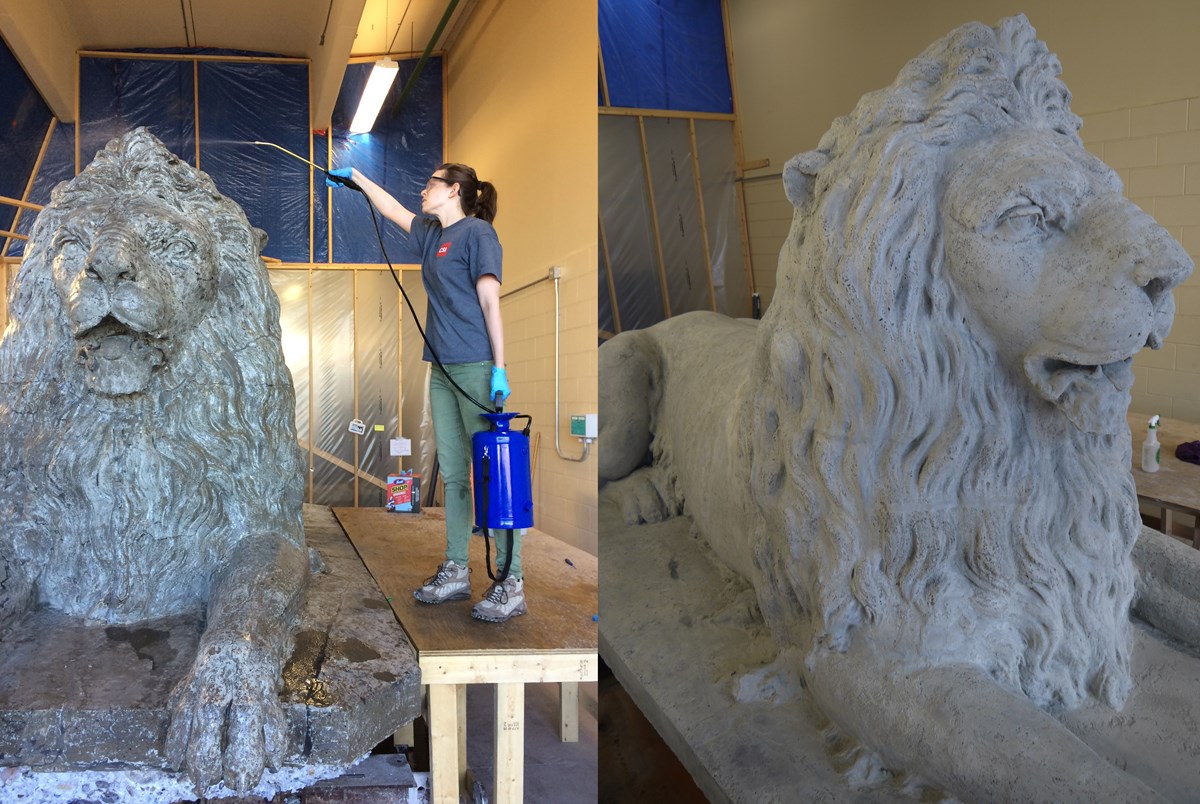 Two images left: Woman holding handheld pump spraying liquid on lion. Right: Closeup of cement lion.
