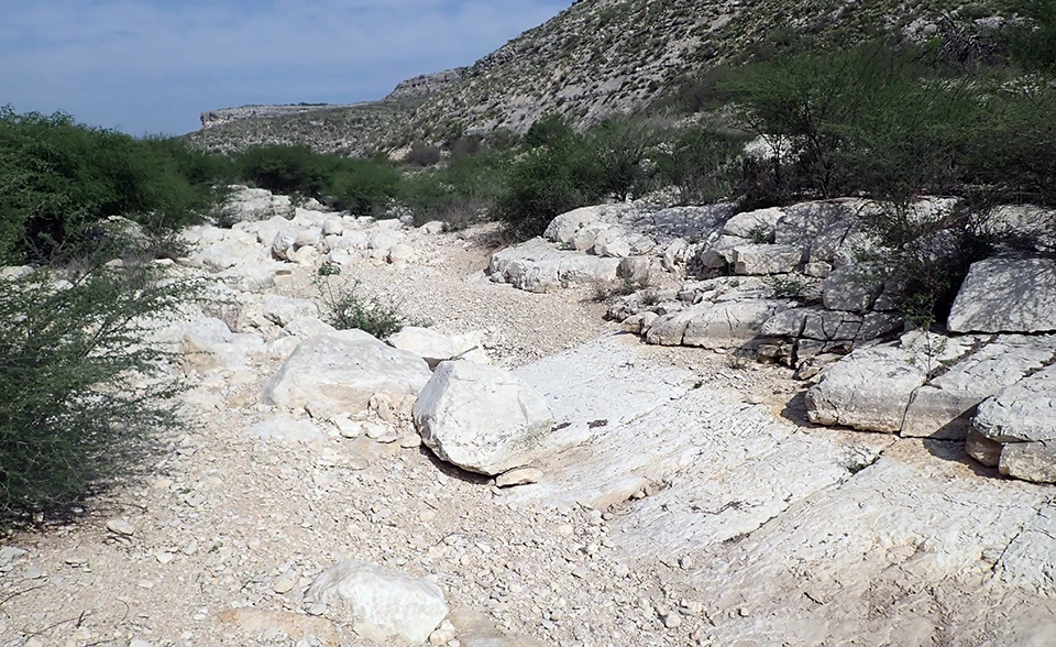Orifice A at Indian Springs Canyon Spring A dry streambed with white, exposed bedrock along the bottom and side, with shrubs lining the banks.