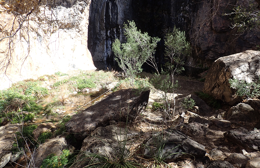 Figure 14. A large pool of water at the base of a steep rock wall where water flows into the pool. Water flows from the pool out of sight.