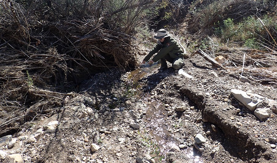 A person pointing to a small stream flowing in a scoured drainage lined by desert shrubs.