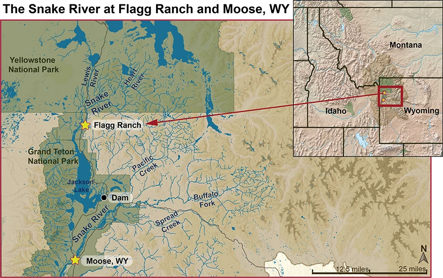 Snake River monitoring sites A map of the Snake River flowing through Grand Teton and Yellowstone National park with Moose, WY, marked south of Jackson lake and Flagg Ranch, WY, north of Jackson Lake.