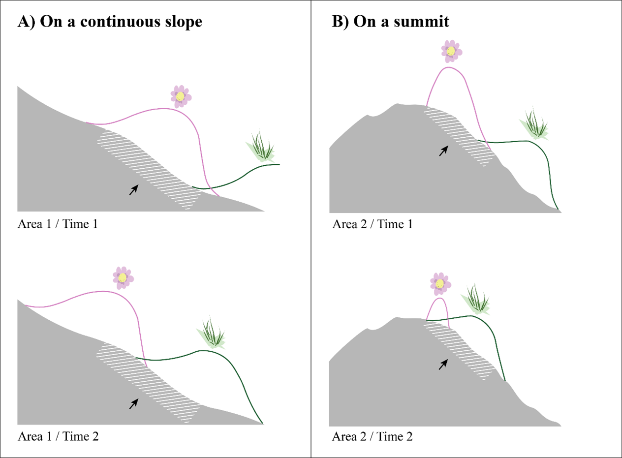 Figure 2. There are two panels, each containing two graphics. Figure 2. There are two panels, each containing two graphics.