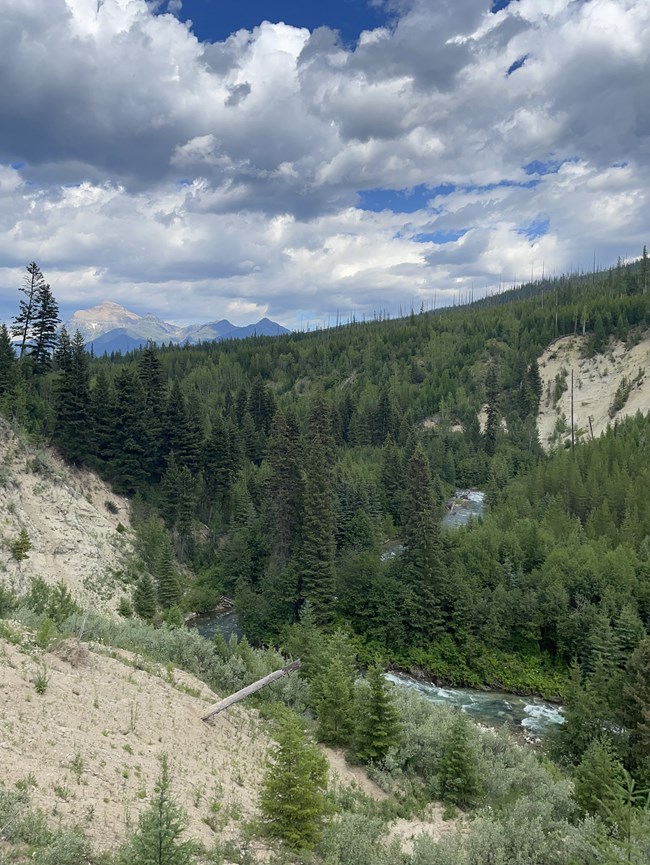 Figure2_KishenehnFm Photo of a river running through a forested canyon.