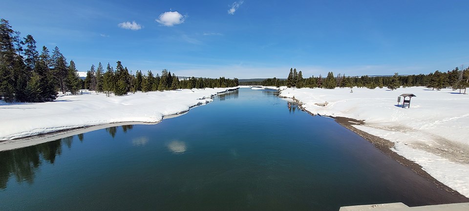 A calm, blue river with mostly flat, snowy banks in a snowy landscape of scattered conifers under a deep blue sky.