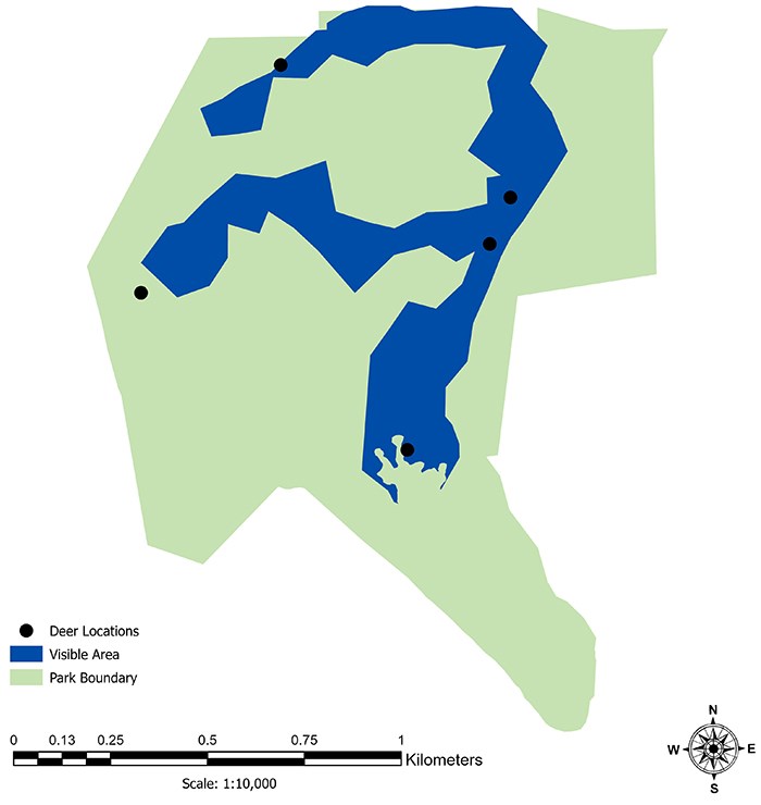 Deer locations graph Map showing that deer were found at 5 locations scattered across the survey routes.