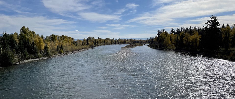 A rippling dark blue river flowing through conifer lined banks and around a small, raised island in the distance.