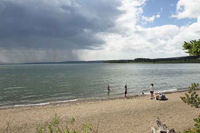 Three people rest on the golden sand beach while one person swims in the water.