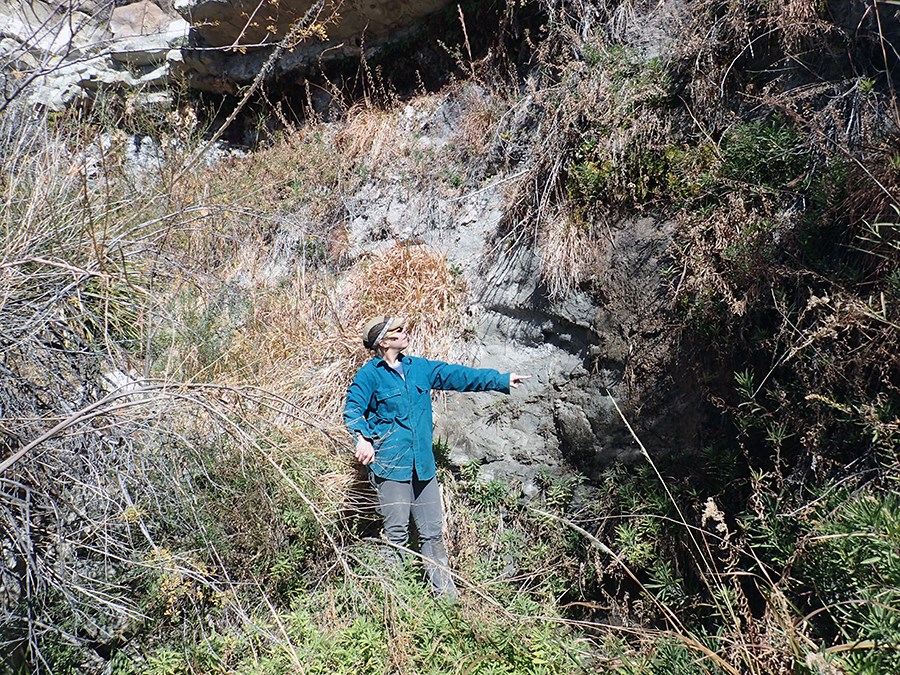 Shelf Spring orifice A person pointing at the wet area of a hanging garden (green vegetation on the cliff face).
