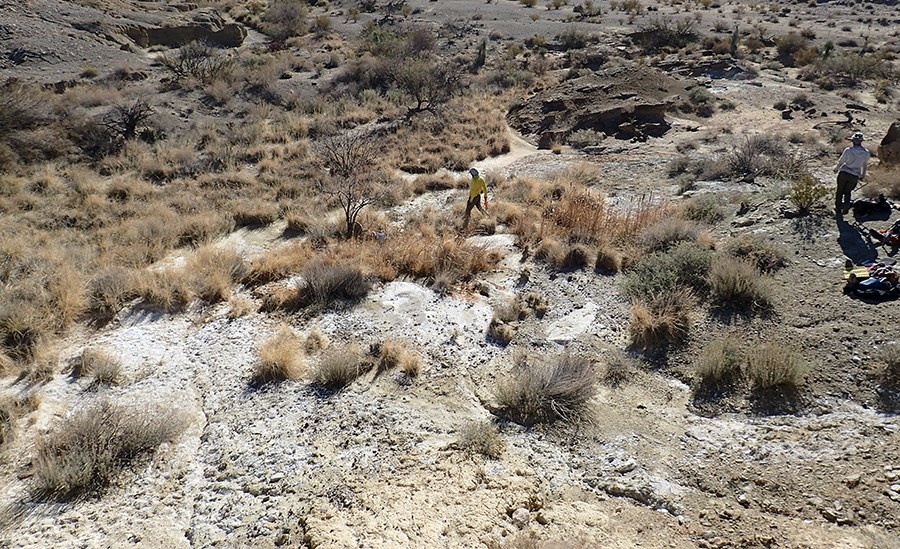 Solis Spring Two people standing in an area with mineral covered soil and dried grasses and plants on a slope where the primary orifice is above a narrow, sandy drainage.