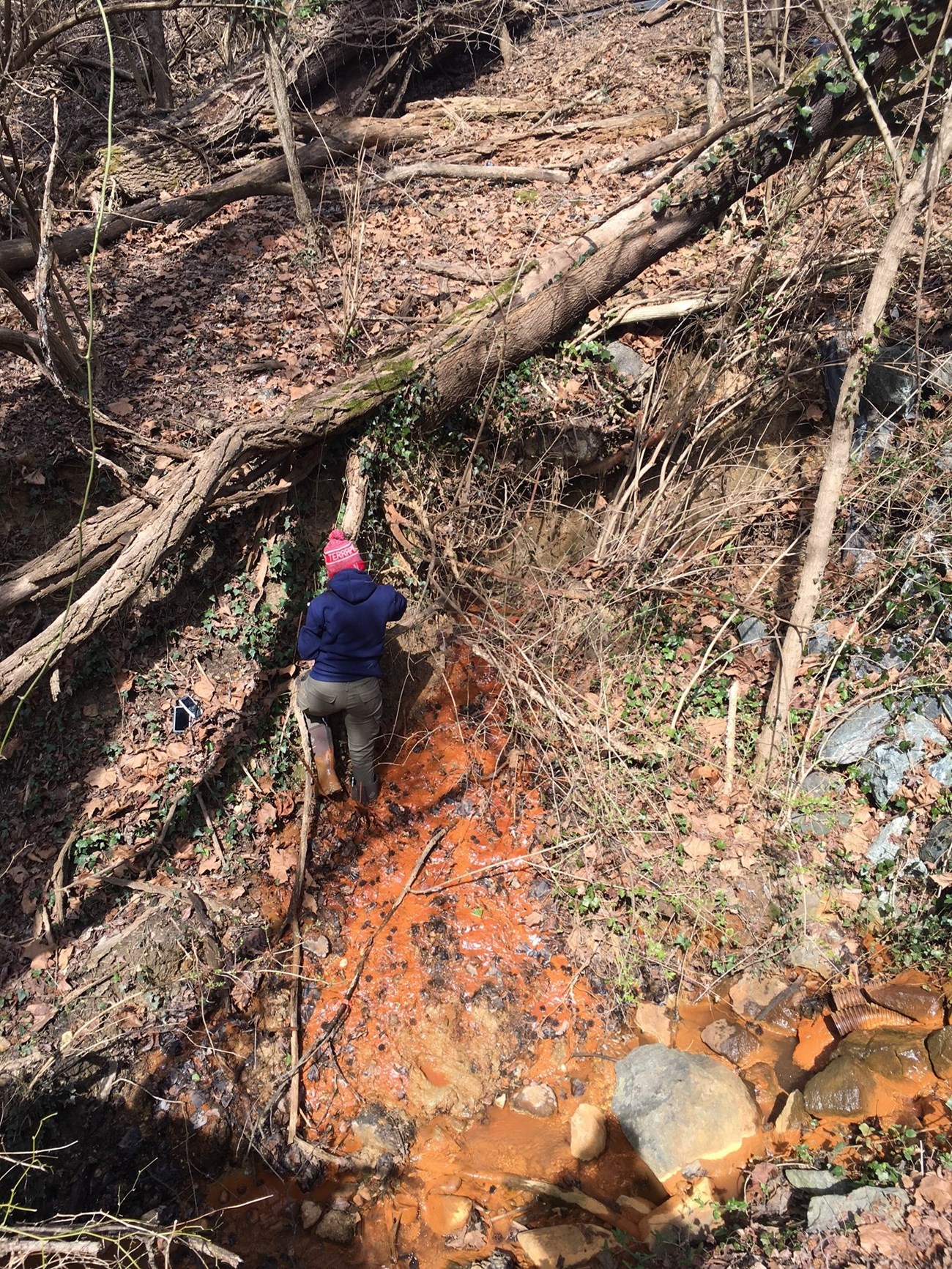 Macropore spring site Looking downward person in tall boots standing in an orange-colored stream, just below a fallen tree.