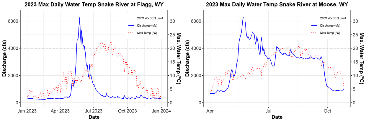 Two line graphs of discharge and temperature showing maximum daily water temperatures in the Snake River exceeded standards for cold water fish for 40 days in July and August at Flagg Ranch and on 10 days at Moose.
