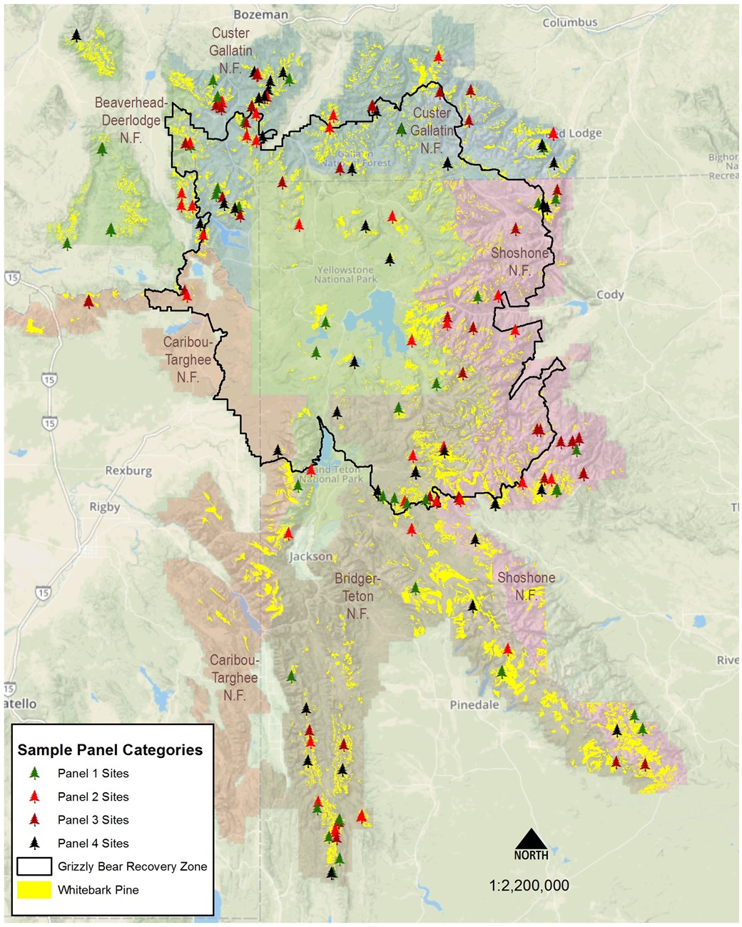 Map of the Greater Yellowstone Ecosystem, with whitebark pine sampling panels shown.