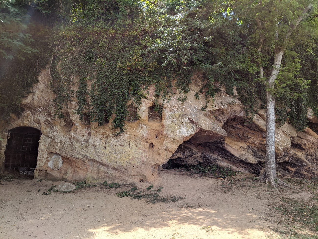 low bluff with cave openings