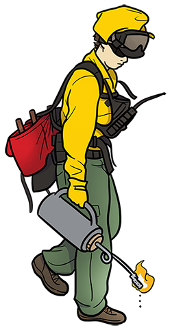 Illustration of a wildland firefighter dressed in full firefighter gear holding a drip torch down with a flame coming from the torch.