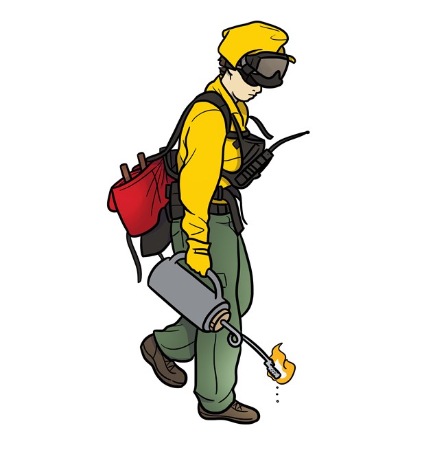 Illustration of a wildland firefighter dressed in full firefighter gear holding a drip torch down with a flame coming from the torch.