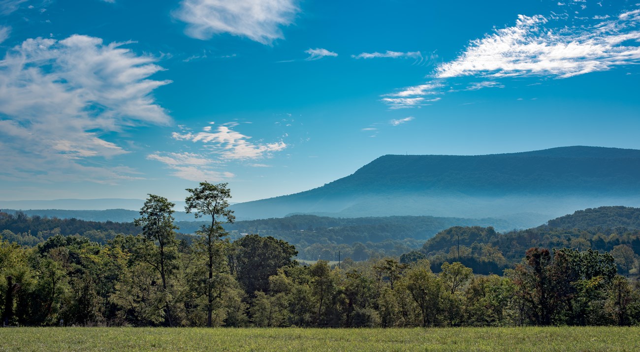 Fisher's Hill Battlefield Expansive green field with trees and large flat-topped peak in background