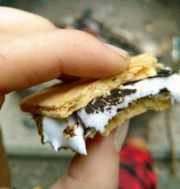 Hand holds a s'more above a campfire: graham cracker, chocolate, marshmallow