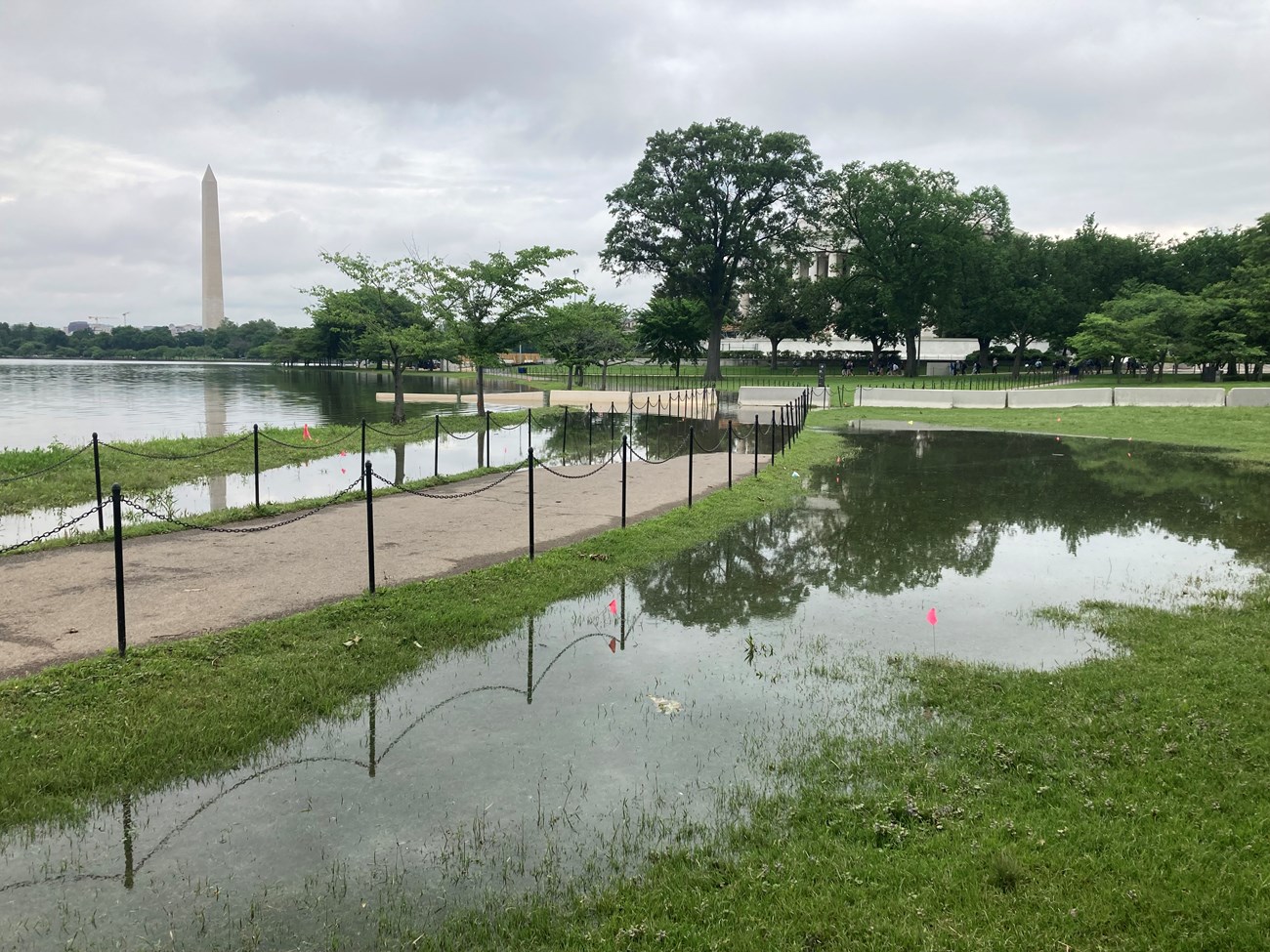 Standing water visible in the grassy foreground areas along a sidewalk on an overcast day with the Washington Monument visible in the background and a few green leafed out trees.