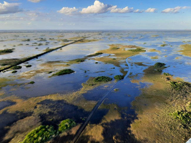 An aerial view of a flooded Everglades ecosystem. Patches of green are surrounded by blue water.