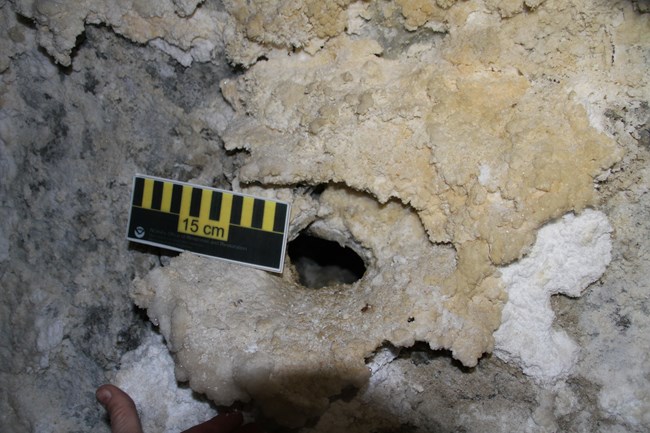 Floor vent A floor vent rimmed with gypsum found in the Gypsum Annex