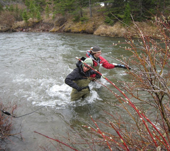 Two technicians in a stream hold a long, cyclindrical probe in the water.