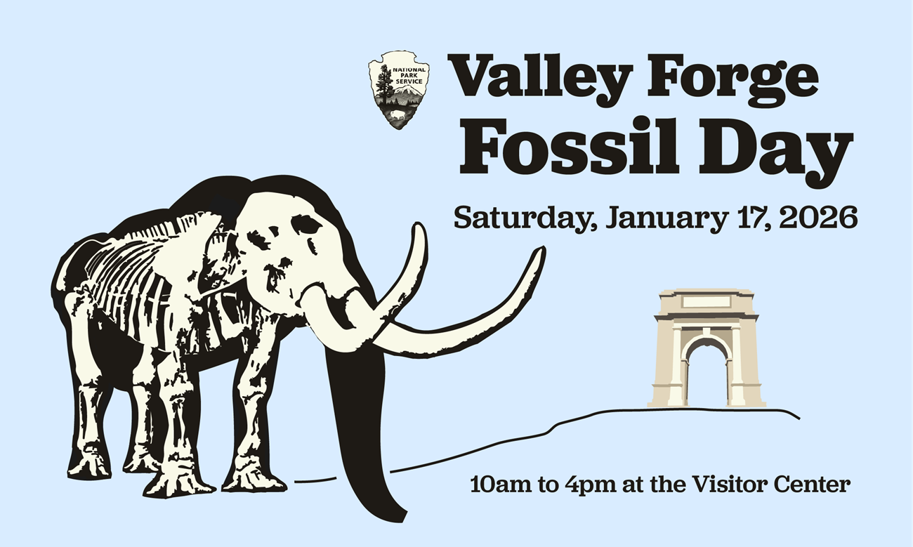 graphic of a dark mastodon silhouette with all the bones highlighted. the national memorial arch is in the distance