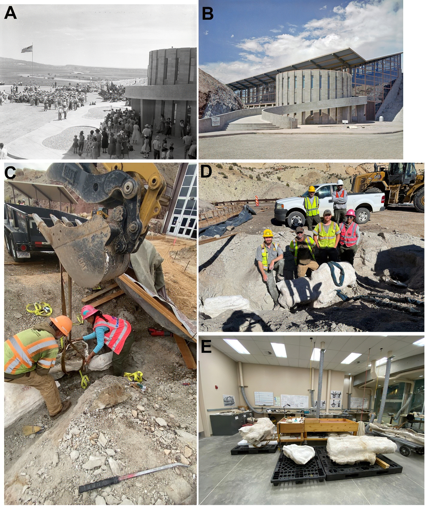 Five images. Upper left: people, building; right: same building from another angle. Middle and lower left: two people, jacketed fossil, backhoe. Middle right: six people; large, jacketed fossil, truck. Lower right: jacketed fossils in a large room.