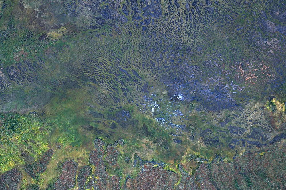 Aerial photo showing the vegetation and water patterns of the fen.
