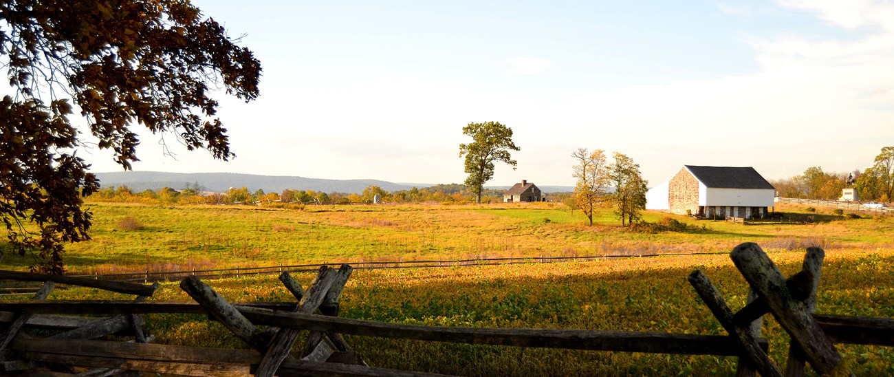 A white barn in a yellow field with a split-rail fence.