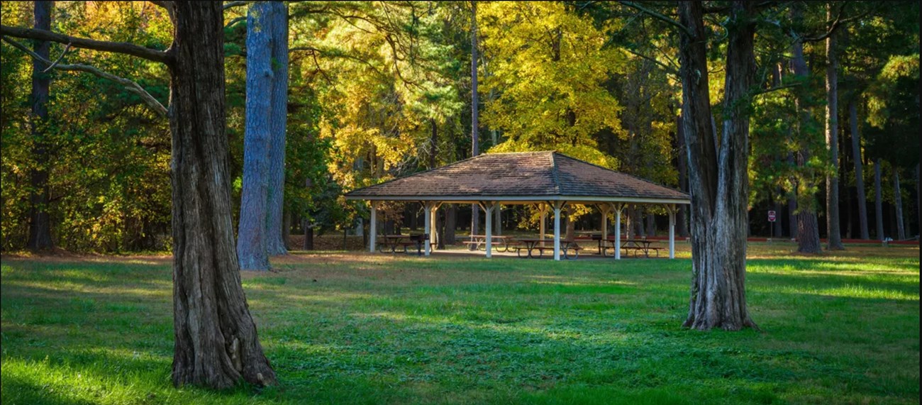 Picnic Pavillion a pavillion sitting in a lush green field surrounded by trees.