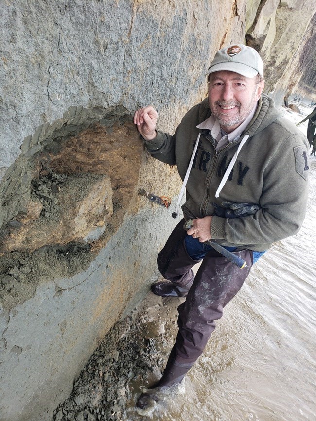 Paleontologist next to a fossilized dolphin skull in a rock face