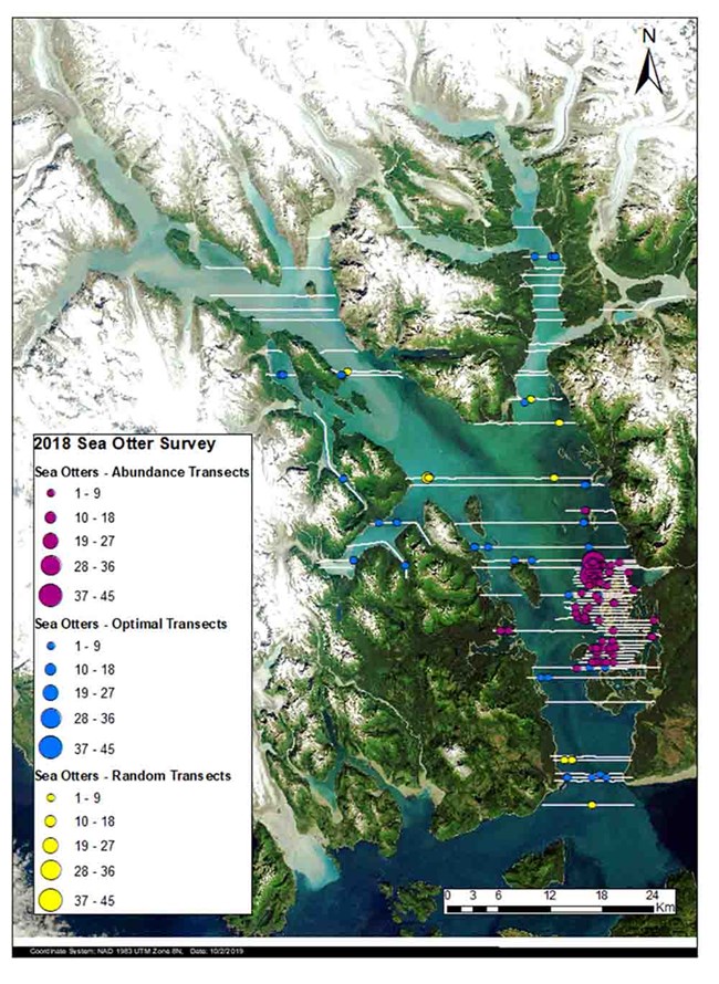 A map of Glacier Bay showing the transects/flight lines to monitor sea otters.