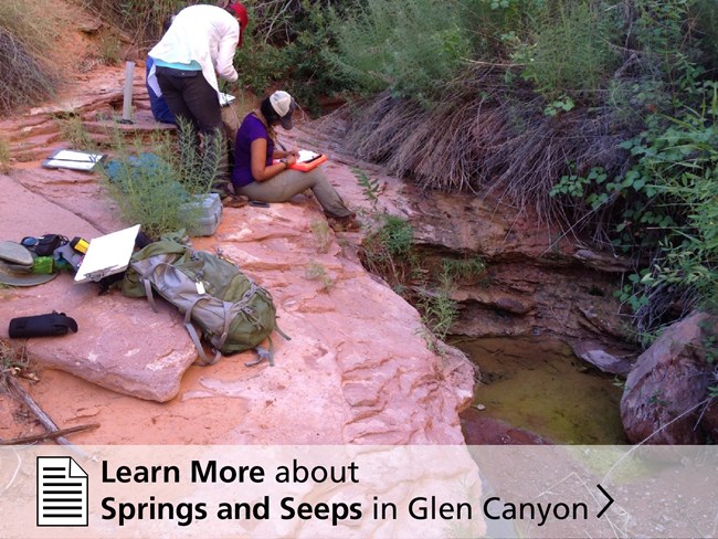 Scientist perch on a red sandstone outcrop sampling water from the spring-fed pond below.