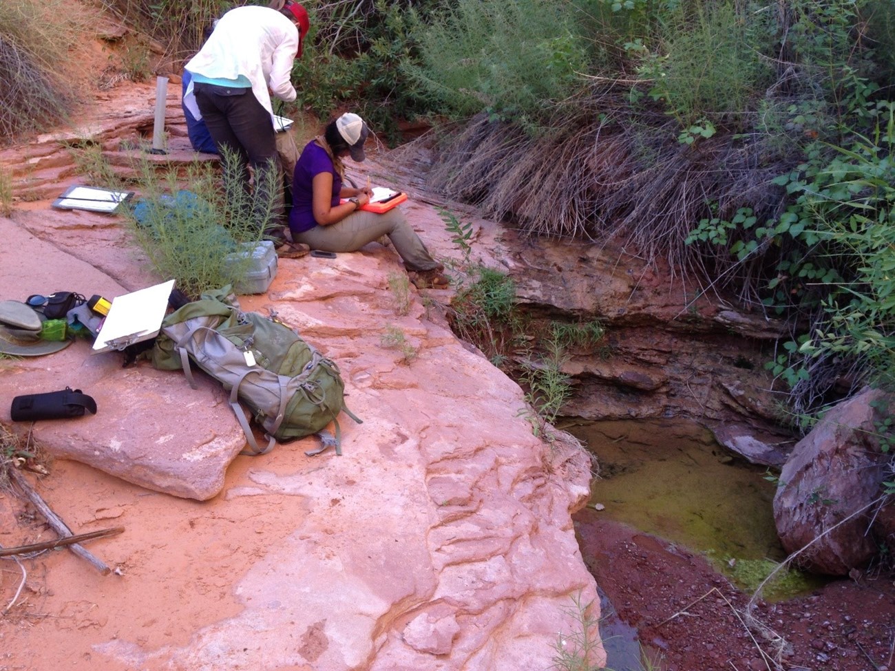 People sitting on a rock face above a small creek, taking notes on clipboards