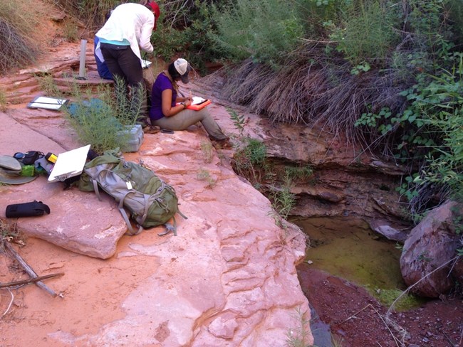 Field scientists record observations on a sandstone rock outcrop above a spring-fed pond surrounded by lush vegetation.