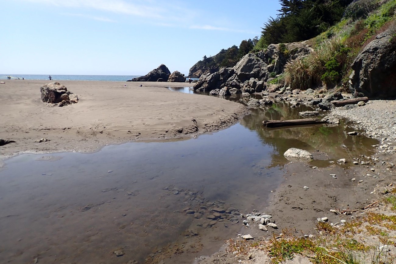 Glassy stream leading along a sunny, sandy beach and into the ocean.