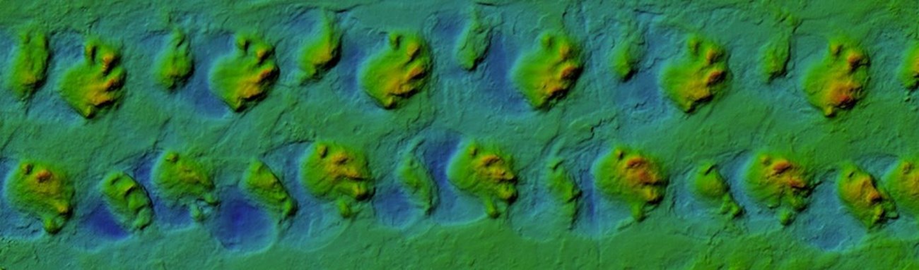 Fossil trackway model with color ramp overlay