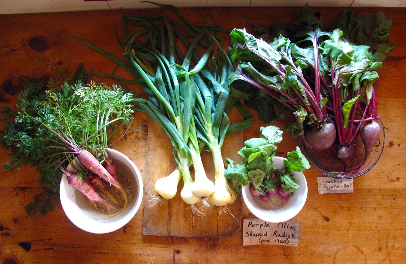 Four different root vegetables with leafy tops, arranged in dishes on a wooden table top.