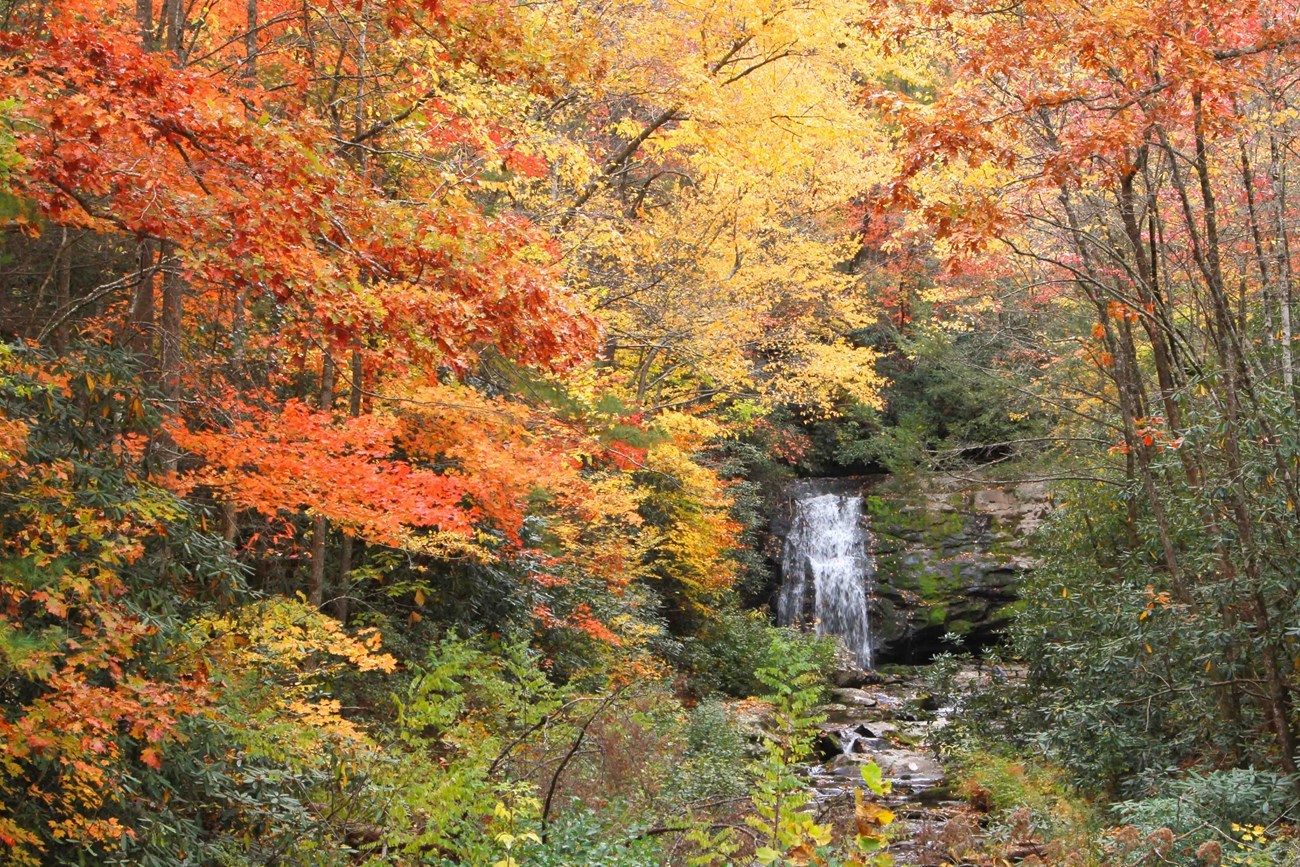 Fall foliage in Great Smoky Mountains National Park Bright fall foliage surrounding a waterfall.