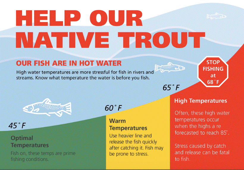A "Help Our Native Trout" infographic showing the optimal, warm, and high temperatures for trout stress levels. See dropdown at end of article for full text