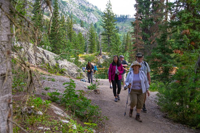 Visitors hike the Jenny Lake Trail Visitors hike along Jenny Lake the Jenny Lake Trail surrounded by mountain scenery and forest