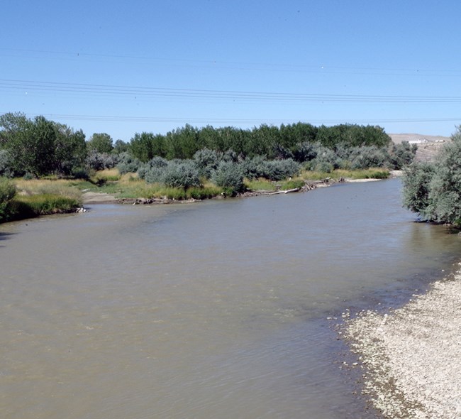 A brownish river with shallow banks lined with pebbles and shrubs