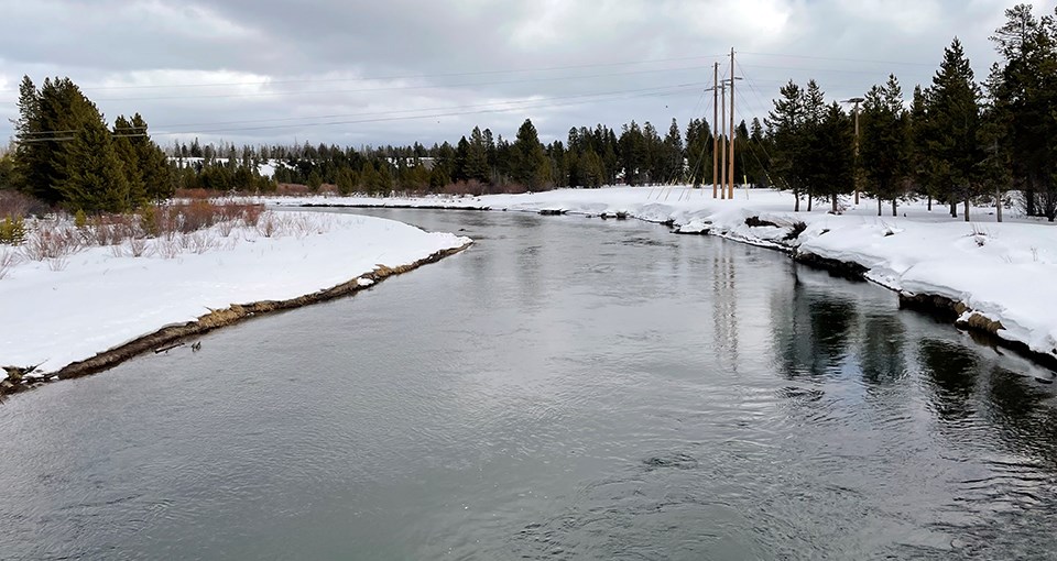 A gently rippling river flowing along snow covered banks and conifer trees under a cloud-filled sky.