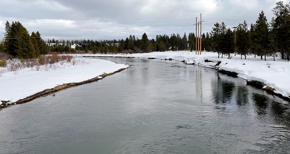 Madison River sampling location A gently rippling river flowing along snow covered banks and conifer trees under a cloud-filled sky.