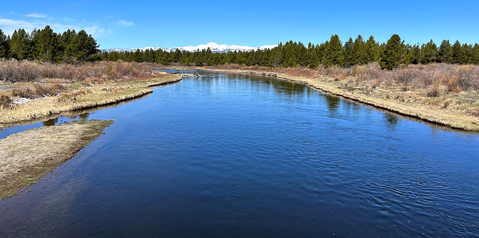 A gently rippling, blue river winding along banks covered in dried grasses and shrubs and dark green conifers with snow covered mountains in the distance.