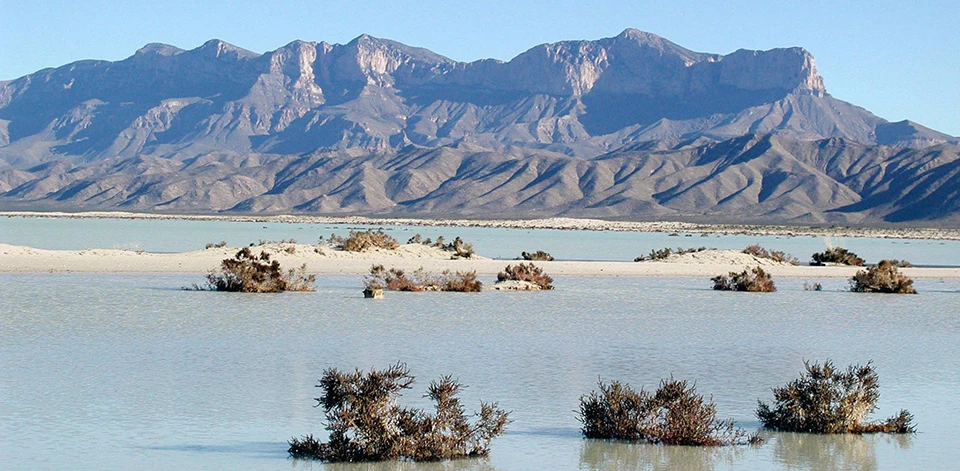 Water in the salt flats Salt mounds and shrubs peeking above a large, shallow water body in front of rugged mountains.