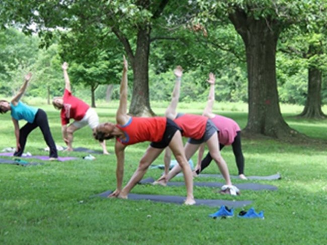 Five people participating in Yoga outside at the park.