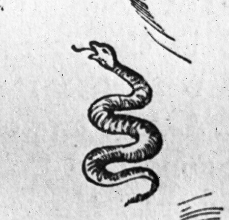 Drawing of a coiled snake from the 1776 Gadsden flag.