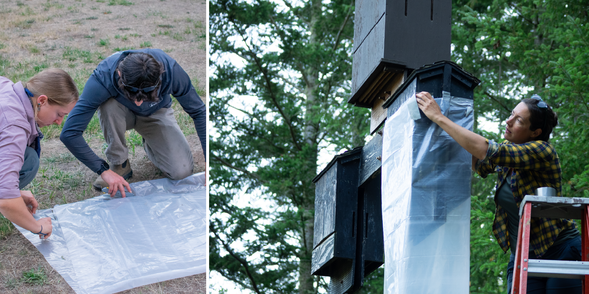 Left: Two people crouch over sheets of painter’s plastic spread out on the grass, working with boxcutters. Right: A person stands at the top of a ladder, attaching a tube of plastic sheeting around the circumference of a large wooden box with duct tape.